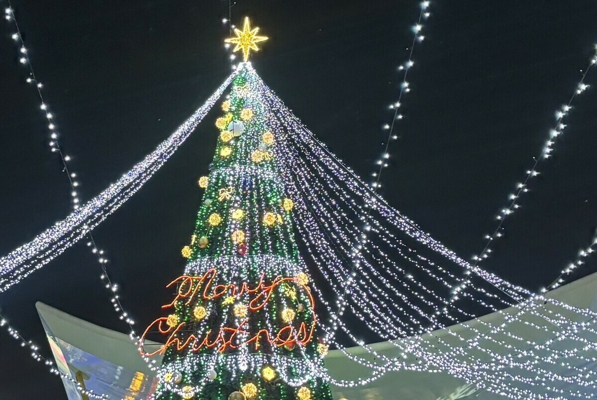 中央公園耶誕生活節燈飾展出至1月5日。 圖：高雄市觀光局提供