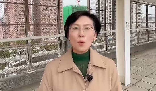 林岱樺指國立大學簡體字命題不是偶發事件。 圖：孫家銘翻攝
