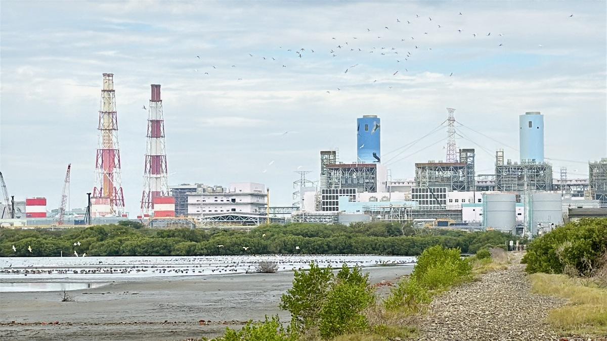 台電投入高雄永安濕地保育逾10年，打造為適合候鳥棲息覓食的「水鳥大飯店」。 圖：台電提供