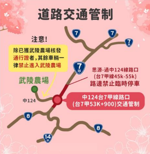 武陵櫻花季道路交通管制。 圖：交通部公路局／提供