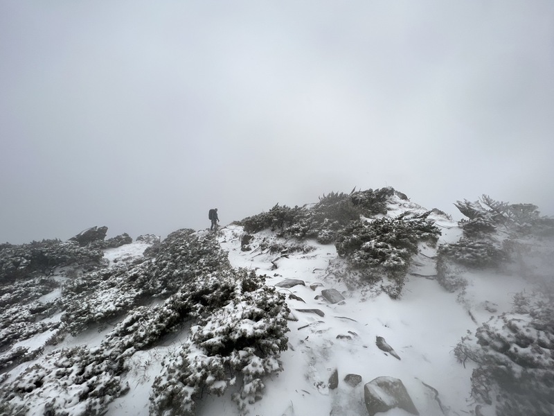 強烈大陸冷氣團來襲，嘉明湖國家步道10日下起今年第1道雪，過9k處已有積雪。 圖：林業及自然保育署台東分署提供