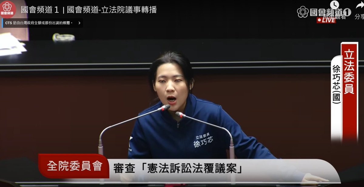 國民黨立委徐巧芯。 圖：擷取自國會頻道