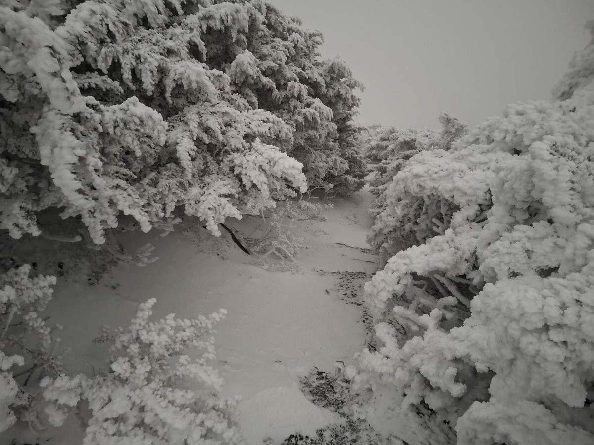中央氣象署發布貼文宣布玉山氣象測站降雪好消息。 圖：翻攝自中央氣象署臉書