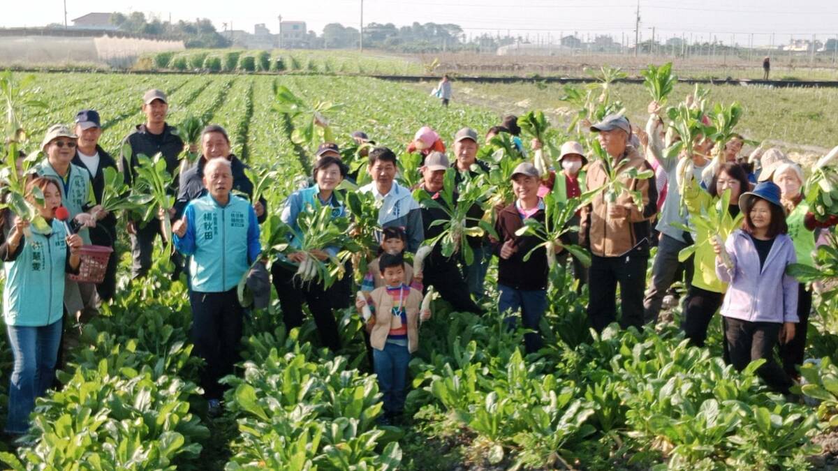 林岱樺(中)至美濃龍山里與社區志工及在地親子共同參與拔蘿蔔活動。 圖：孫家銘攝