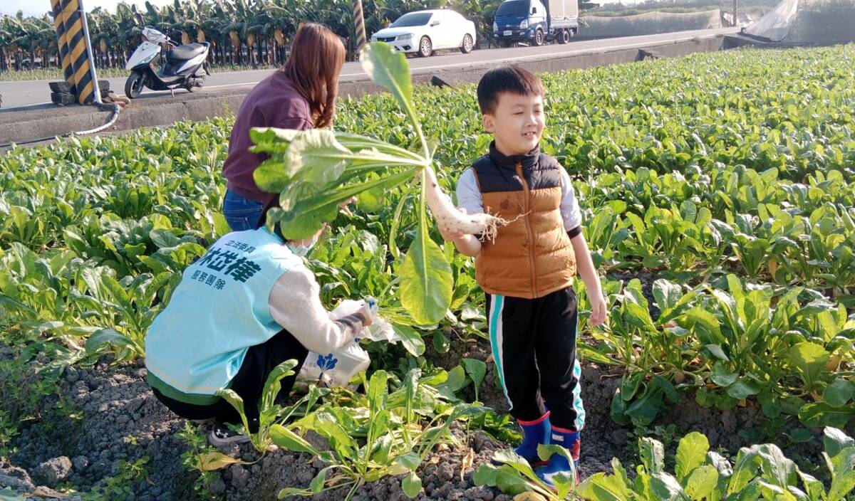 小朋友開心拔蘿蔔。 圖：孫家銘攝