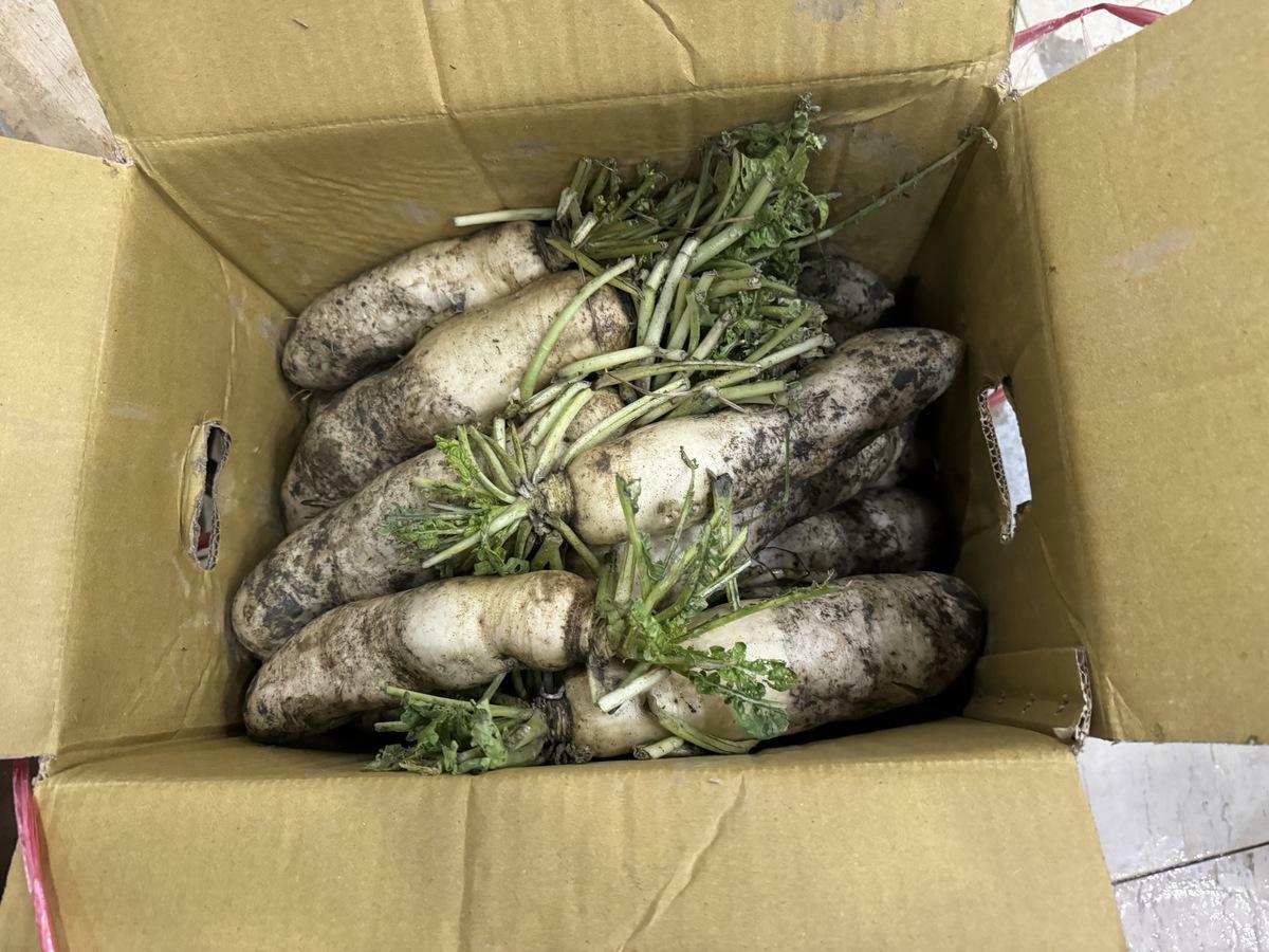 台北市政府衛生局13日公布年節食品抽驗結果，其中白蘿蔔、刈菜、辣椒等年節熱門生鮮蔬果都被驗出農藥超標。 圖：台北市政府衛生局／提供