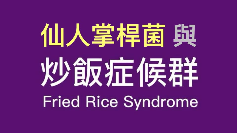 ICU醫生陳志金科普解惑，「仙人掌桿菌」就是「炒飯症候群」。 圖：翻攝「臉書」ICU醫生陳志金粉絲專業