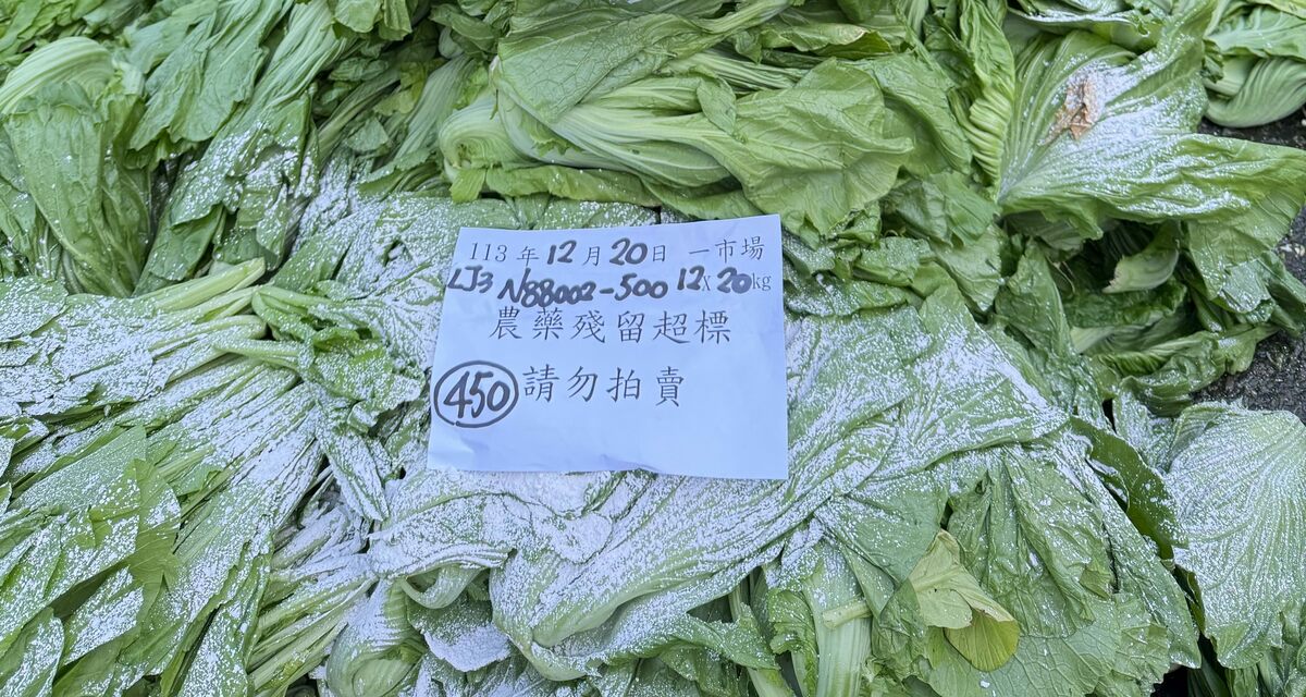 台北市市場處今(16)日公布去年12月蔬果農產品抽驗結果，其中以菠菜、芥菜及辣椒佔最大宗。 圖：台北市市場處／提供