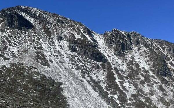 喜迎瑞雪！雪霸國家公園主峰步道積雪「15公分」