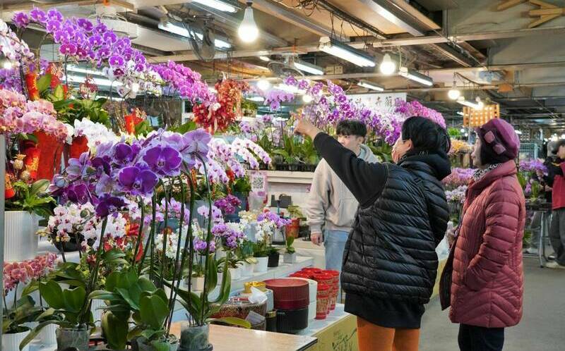 板橋花市陪你過春節！即日起延長營業時間「到小年夜為止」