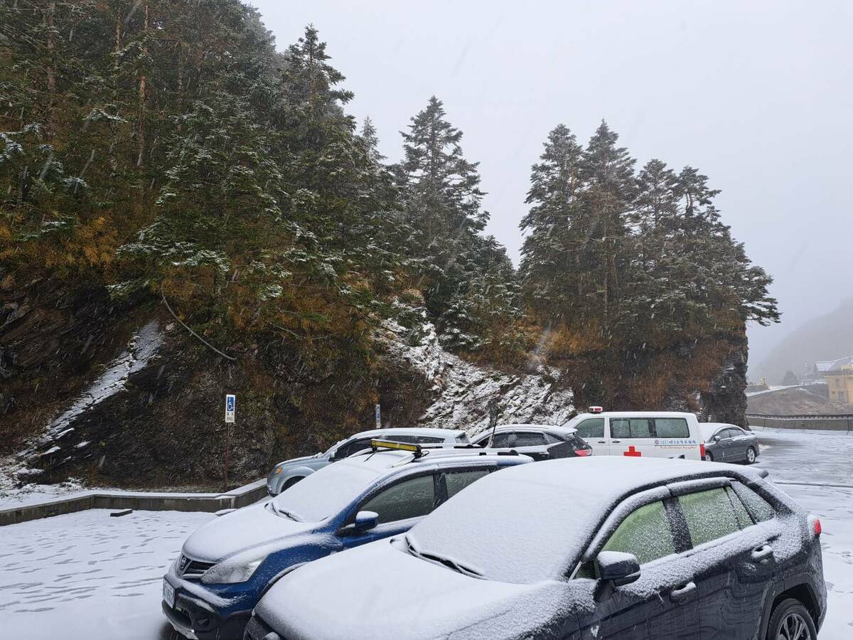 合歡山今晨飄雪，道路如被灑上糖霜般美不勝收。 圖/林保署南投分署松雪樓提供
