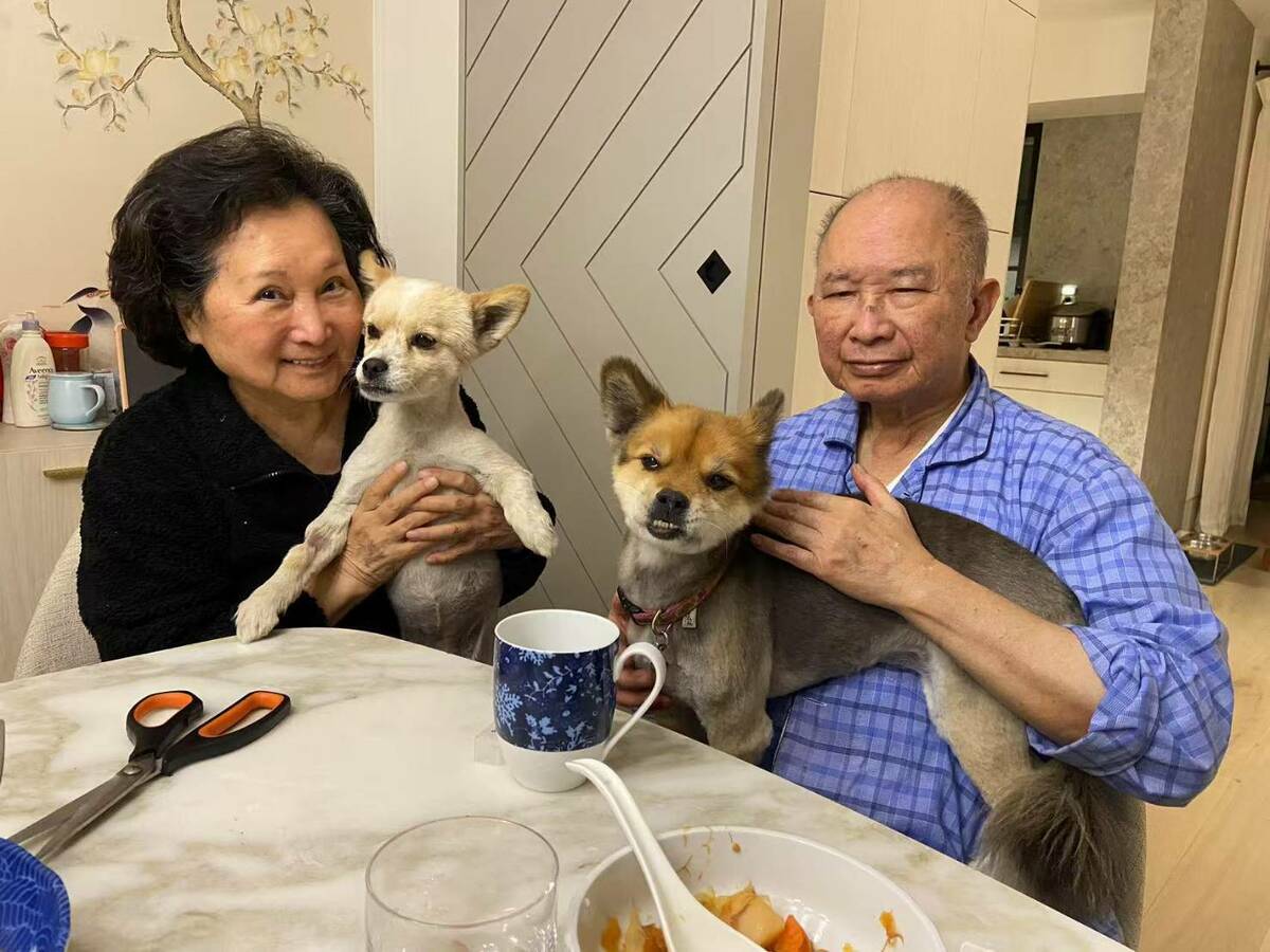 國際名導吳宇森、牛春龍帶了2愛犬回家了。 圖/倪有純提供
