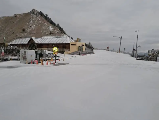 水氣加上昨天入夜天氣寒冷，合歡山降雪一夜，今早合歡山成雪白世界，不僅道路、樹枝全都染上了白色雪霜，地面積雪更厚達3公分，可說是入冬以來的最美雪景。 圖：林業署南投分署／提供