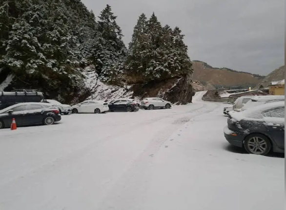 地面積雪厚達3公分。 圖：林業署南投分署／提供