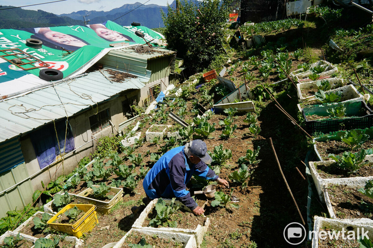 王瑞庭雖然已經102歲了，他舉鋤頭翻土、彎腰種菜、蹲下來除草都沒有問題！或許是長年在田地上勞動，加上充足的睡眠和規律的生活，讓他保有長壽。 圖：張良一/攝