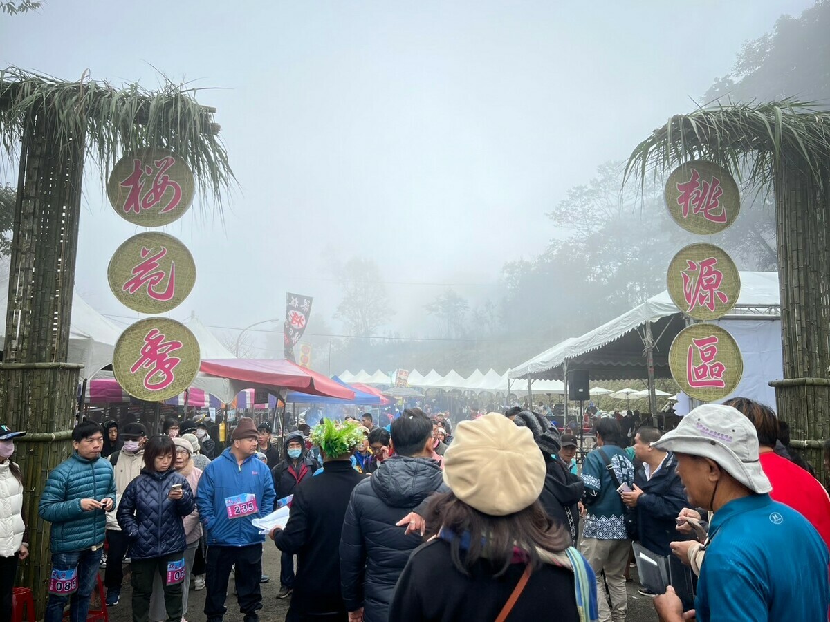 為期1個月的桃源區櫻花季，提供農曆春節期間走春好去處。 圖：高雄市原民會提供