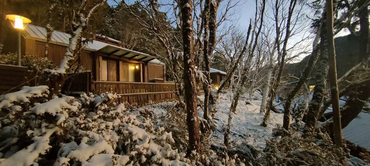 今天太平山清晨低溫0度以下，有仍存的白雪相襯。 圖：翻攝自太平山國家森林遊樂區臉書