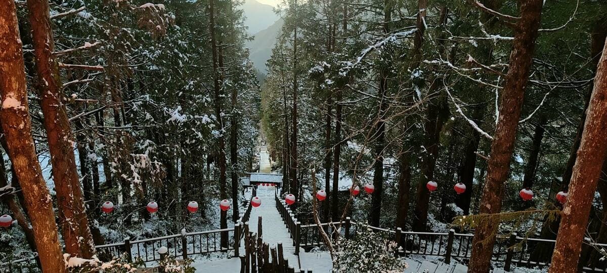 太平山古道也蓋上白雪。 圖：翻攝自太平山國家森林遊樂區臉書