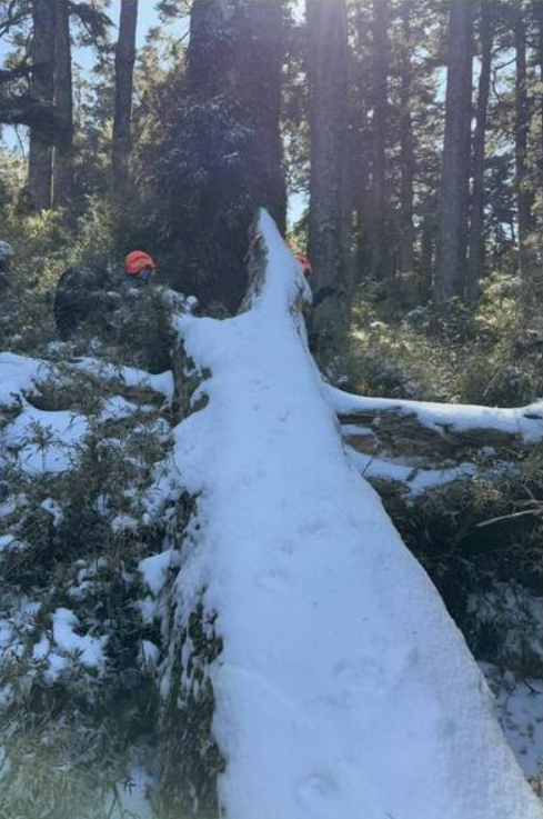 新竹尖石鄉5人登山隊一名女山友已失聯3日，搜救隊尋獲背包及帳篷，失蹤者仍未現蹤，山區低溫降雪增添搜救難度。 圖：新竹縣消防局／提供