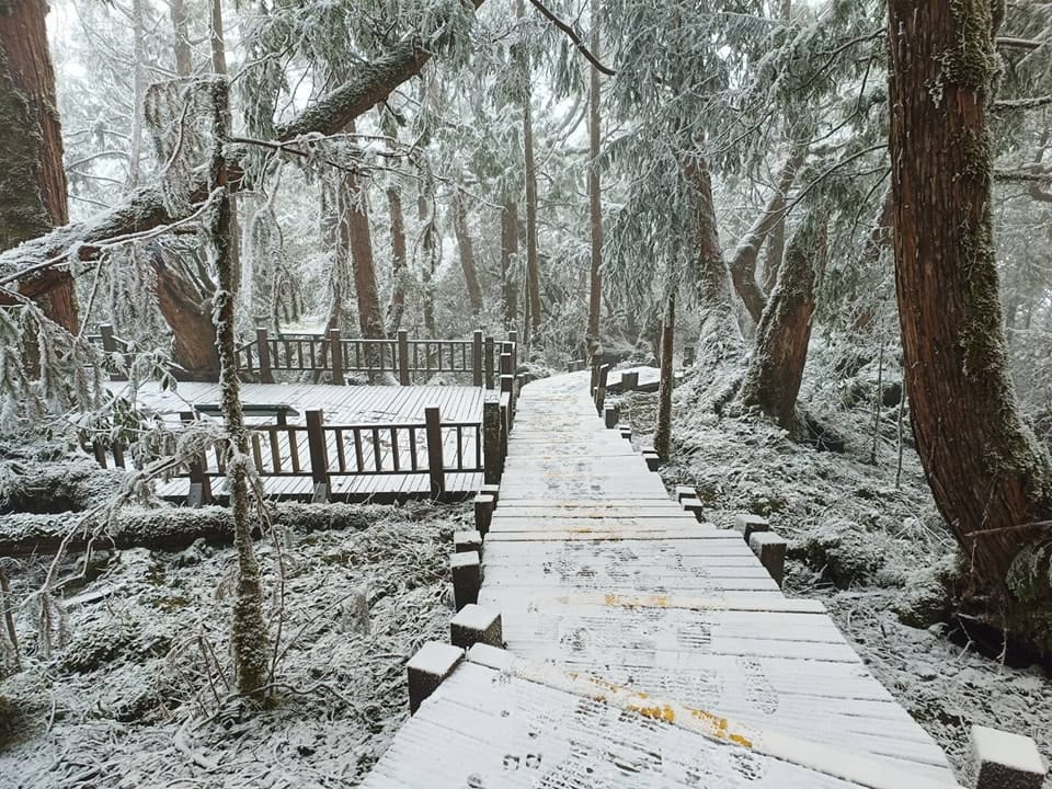 海拔的宜蘭太平山也降到零下2度，園區結滿霧淞。 圖：翻攝自太平山國家公園臉書