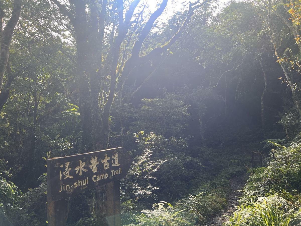 林保署台東分署今日公布，浸水營國家步道將於28日起重新開放通行。 圖：林保署台東分署／提供