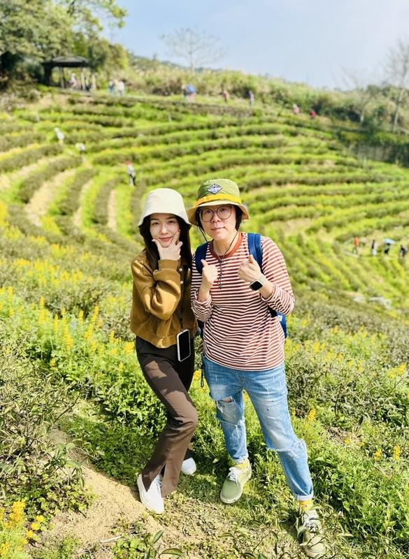 桃園魯冰花季總種植面積達12公頃，為全台最大魯冰花海。 圖：桃園市客家局／提供