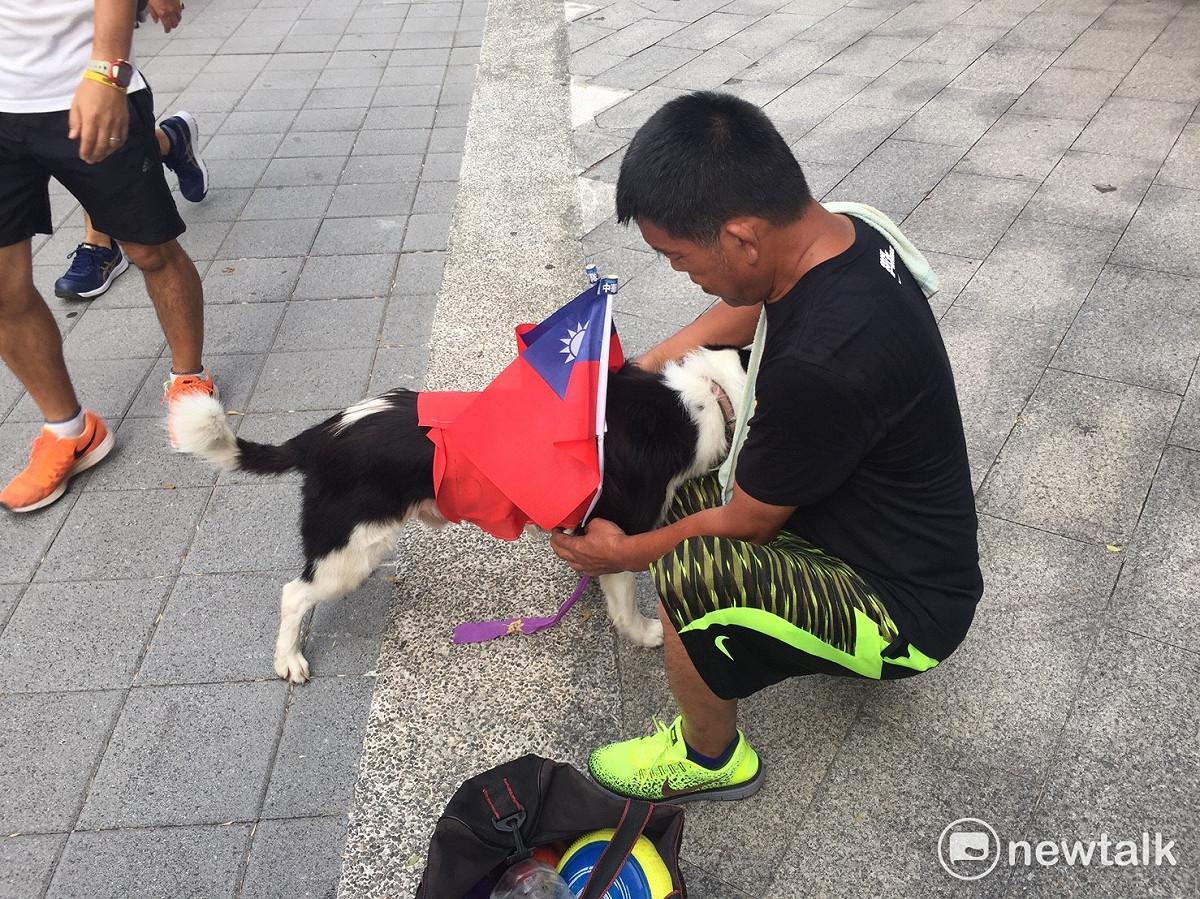 Michael的飼主黃先生製作特別的國旗裝給Michael穿上，幫台灣加油。 圖：丘秝榕／攝
