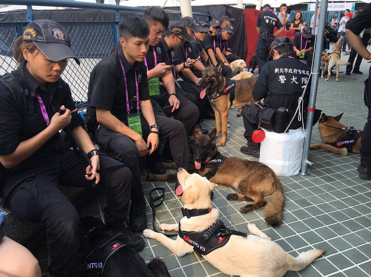 警犬們在休息時間都會趴在地上，領犬員也沒忘了及時給狗狗們補充水分，讓警犬們都能在健康的狀態下執行任務。 圖：翻攝自新北市政府警察局 警犬隊 NTPD K-9 UnitFB粉絲專頁