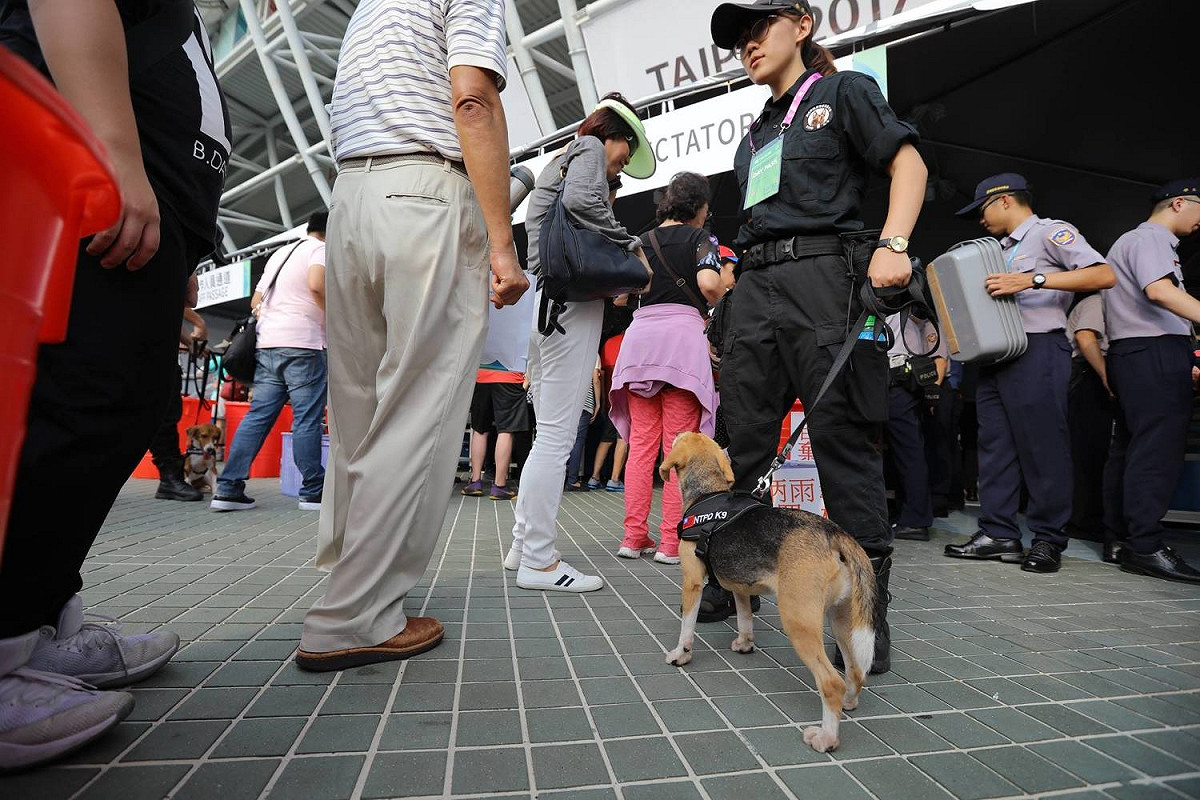 新北市警察局派出「警犬隊」參與維安作業，每隻狗狗都換上繡有台灣國旗的工作胸背，穿梭在會場周圍保護選手的安全。 圖：翻攝自新北市政府警察局 警犬隊 NTPD K-9 UnitFB粉絲專頁