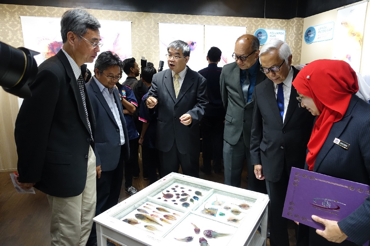 國立海生館前進馬來西亞舉辦科普展，五百多件標本展示，非常吸晴。 圖:海生館／提供