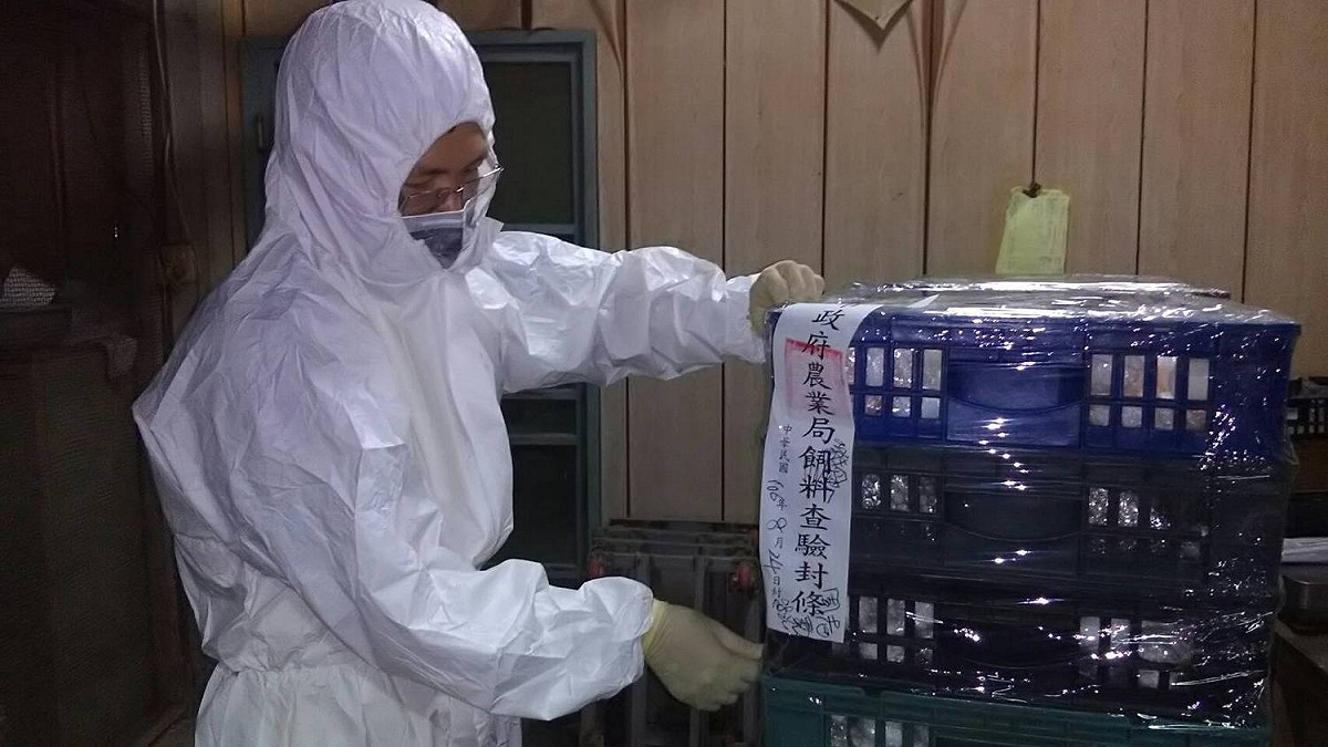 台南市政府24日兵分五路，同時前往蛋雞場現場，進行移動管制，清點場內蛋雞及蛋品數量後進行封存。 圖：台南市政府提供