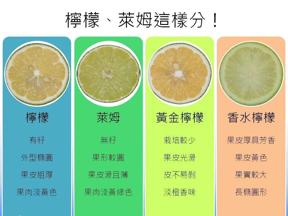檸檬、萊姆其實不一樣，你會分嗎？這張圖讓你學會如何分辨四種不同，但都長得很像的檸檬。 圖：新頭殼製表