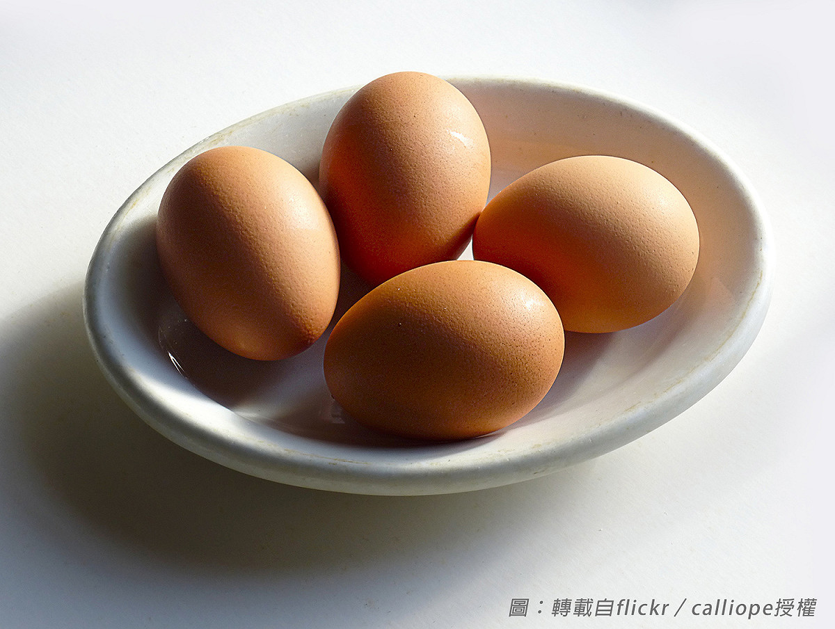 圖：轉載自flickr／calliope授權