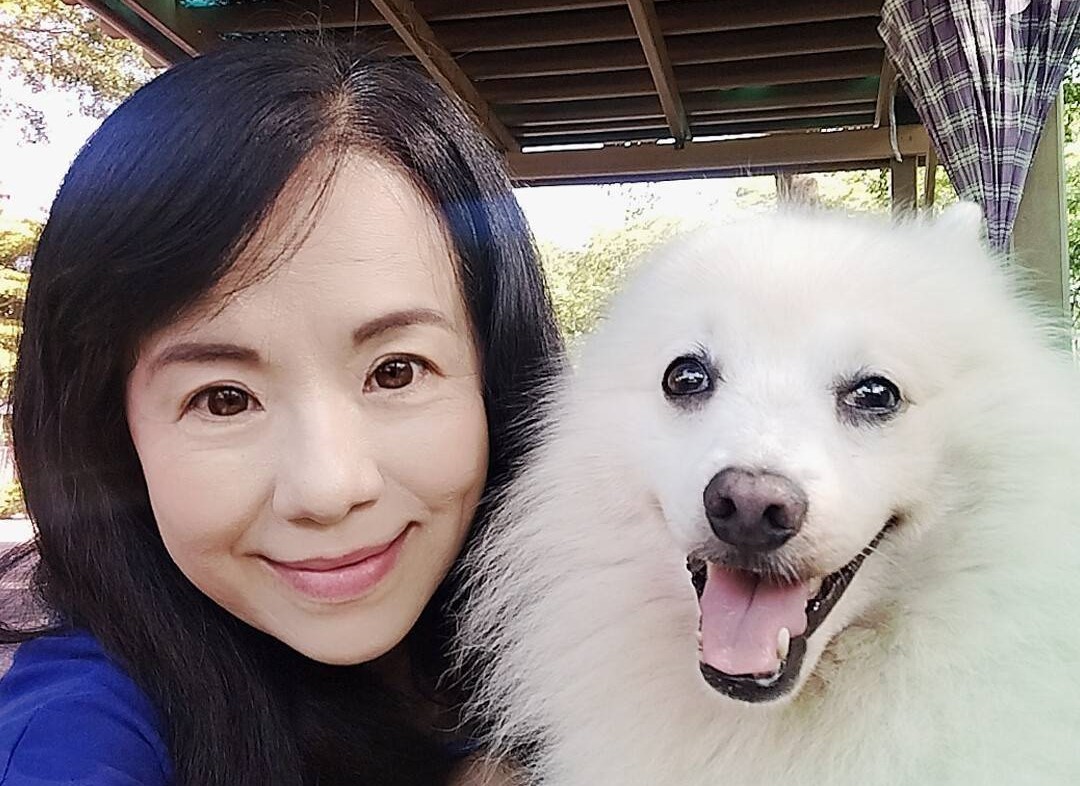 陳惠君一向愛狗，除了自家寵物，對流浪狗也充滿愛心。 圖：陳惠君提供