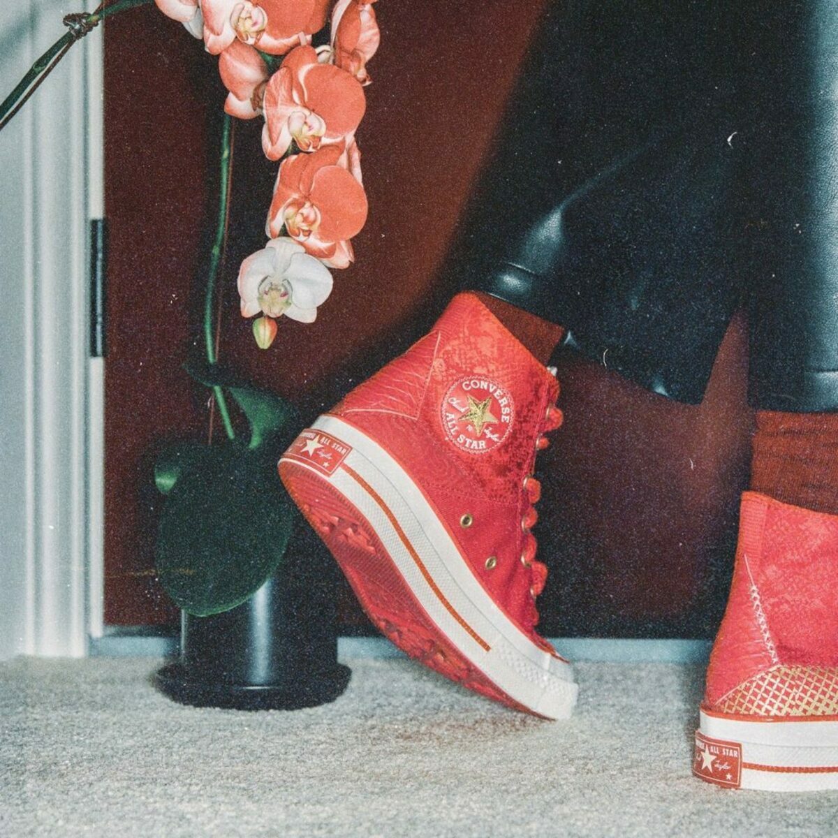 今年為蛇年，Converse 推出蛇年限定系列。 圖：Converse Taiwan臉書