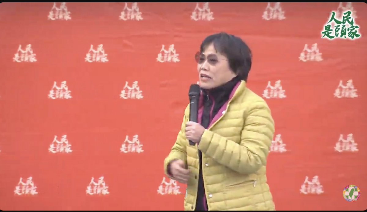 內政部長劉世芳在政策宣講時提到一邊一國言論，引發熱議。 圖：翻攝民進黨YouTube直播（資料照）