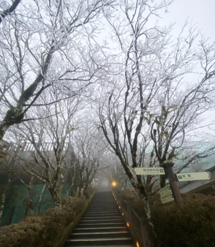 園區再度化身銀白世界，是3月罕見的美景。 圖：太平山莊／提供
