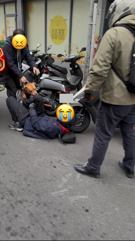 今日上午再傳大安區臥龍街再度發生比特犬咬人事件。 圖：翻攝自PPT