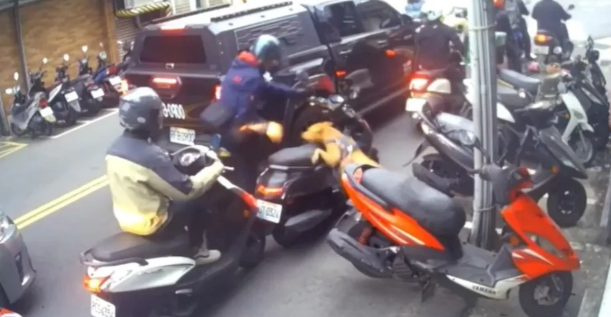 比特犬連續兩次跳窗攻擊騎士，飼主稱狗誤觸開關，監視畫面顯示車窗開啟時犬隻不在座位，警方正調查。 圖：翻攝自監拍畫面