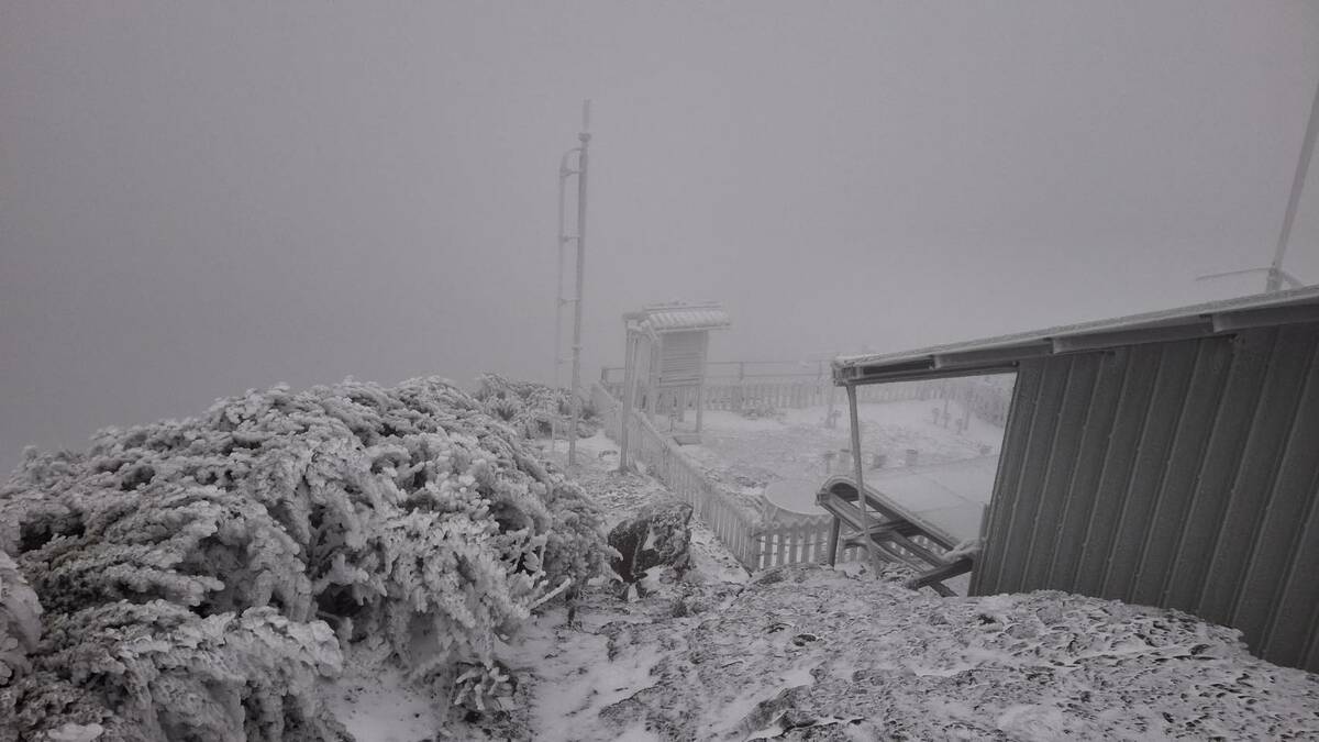 截至上午7時為止，玉山測站積雪已逾1公分，且降雪還在持續中。 圖：翻攝自中央氣象署臉書