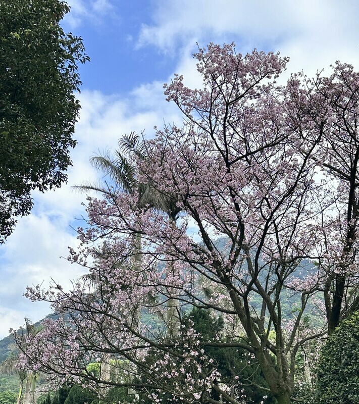 林得恩分享，即日起至下週四前，全台溫暖如夏，本島白天高溫都有機會超過30度。 圖：民眾／提供