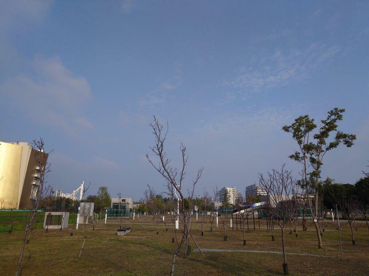陳俞融說，盧秀燕市長上任以來賣市地面積達1.43個中央公園。 圖：陳俞融/提供