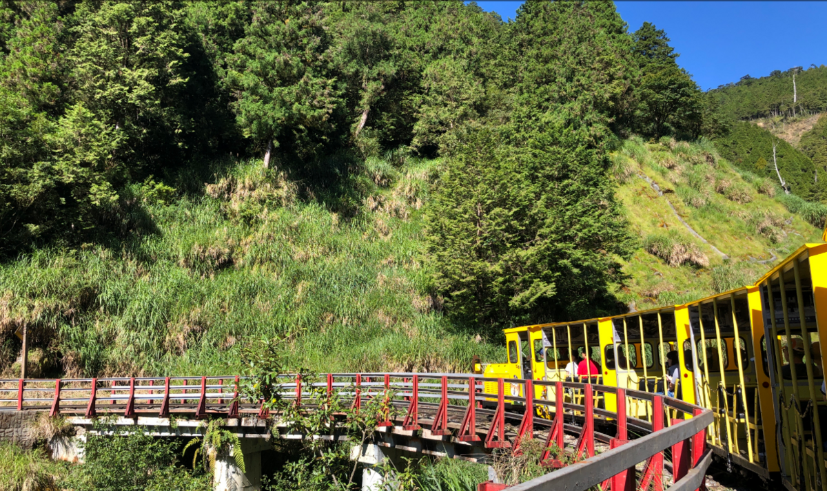 太平山森林遊樂區位於宜蘭，海拔約2,000公尺，為早期林場，保存豐富森林生態與林業歷史。 圖：林保署／提供