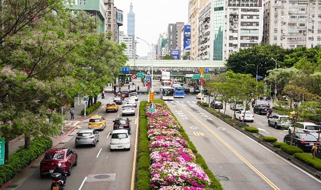 信義路杜鵑花況。 圖：台北市政府工務局公園路燈工程管理處／提供