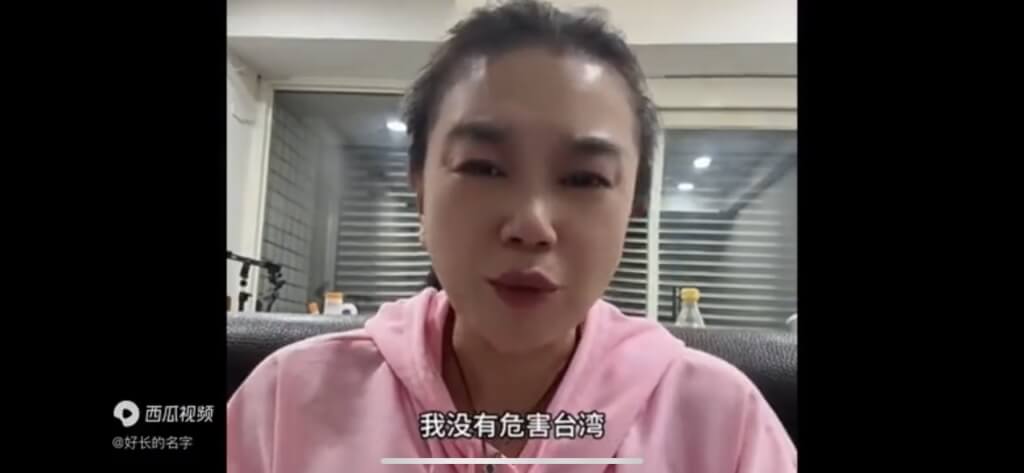 小微堅稱：「我沒有危害台灣，我也沒有恐嚇台灣。」 圖：翻攝抖音西瓜視頻