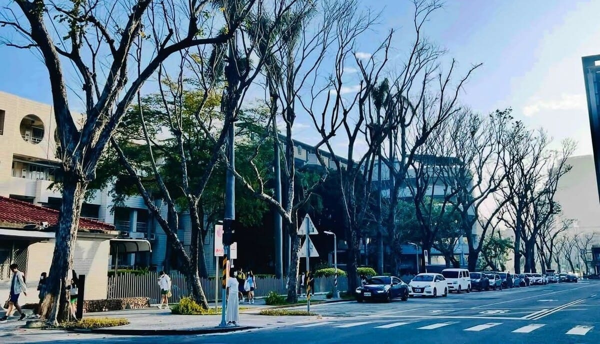 鼓山高中通學步道改善工程讓整個景觀變得更漂亮。 圖：高雄市教育局/提供