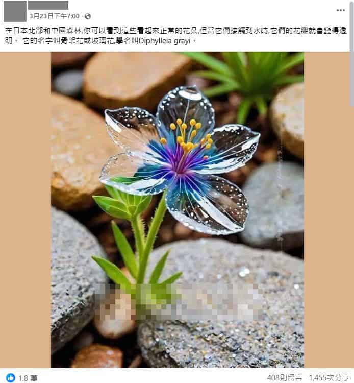網傳骷髏花經常出現在中國和日本北部森林，在雨後沾到雨水，就會變得透明。 圖：事實查核中心／提供