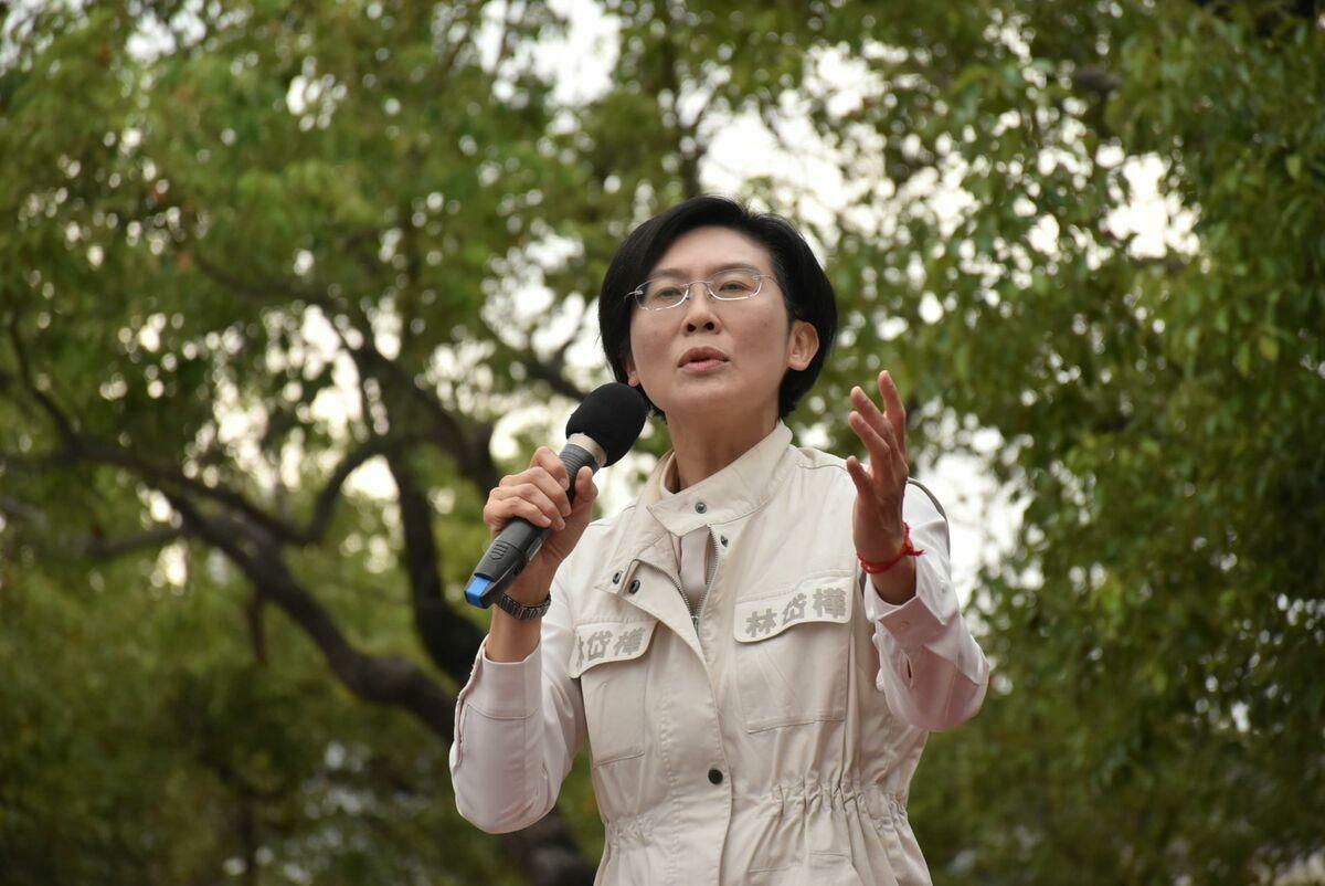 民進黨立委林岱樺。 圖：孫家銘／攝（資料照）