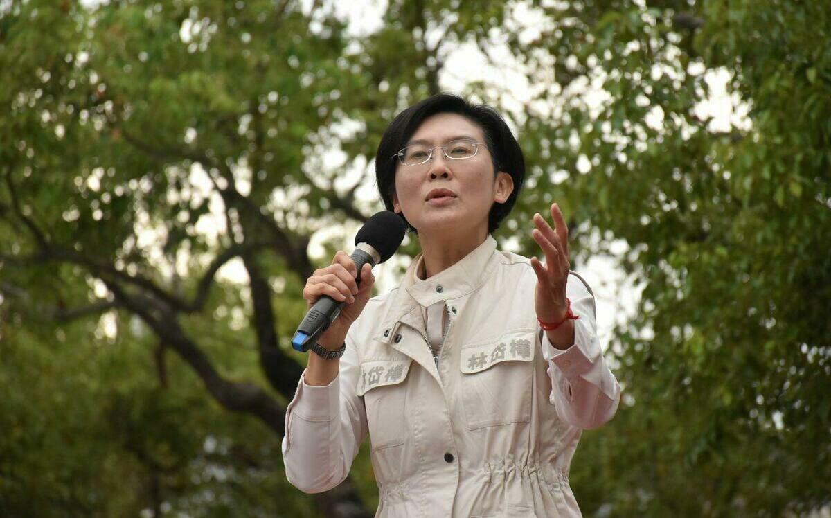 談初選憂民進黨支持度下滑 林岱樺：改革重要還是派系選邊重要？