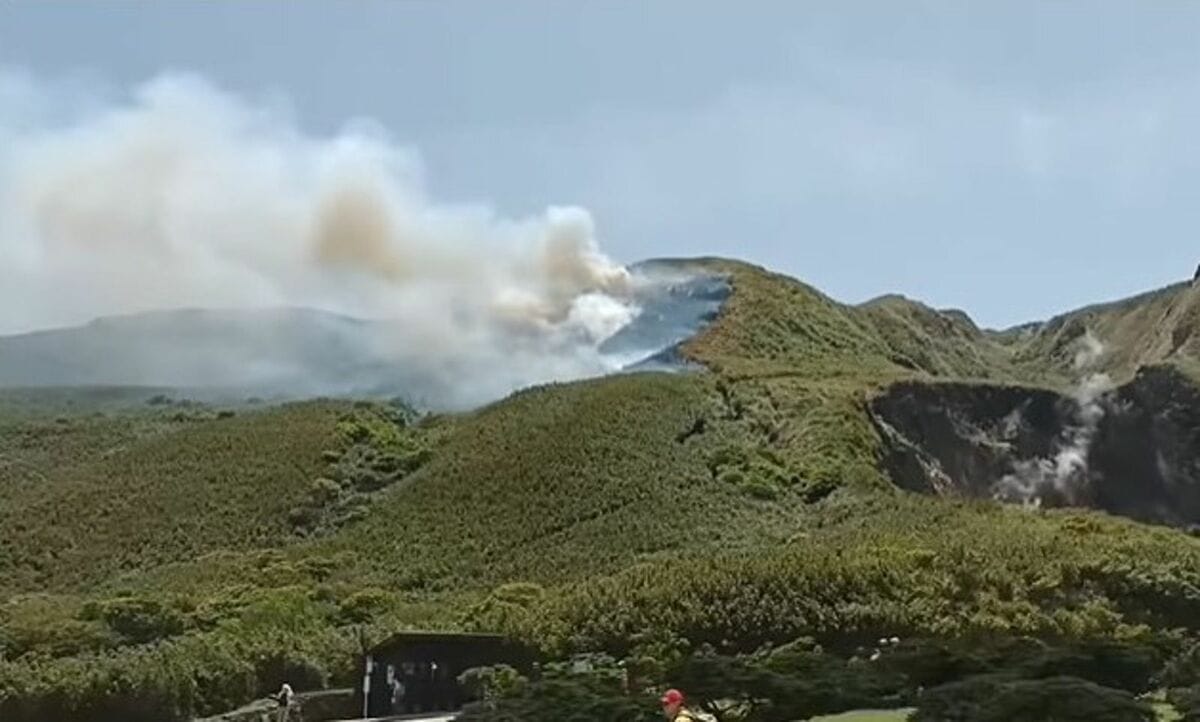 陽明山火燒山原因曝光！初判「空氣品質感測儀」起火，燃燒面積擴大。（翻自張斯綱臉書）